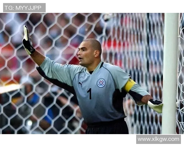 足球明星奇拉维特的精彩瞬间与职业生涯回顾图片展示